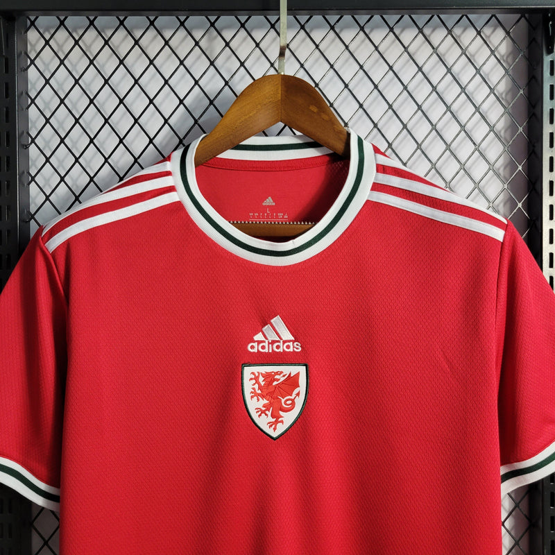 Camisa Seleção do Pais de Gales 2022/23 Vermelho - Torcedor