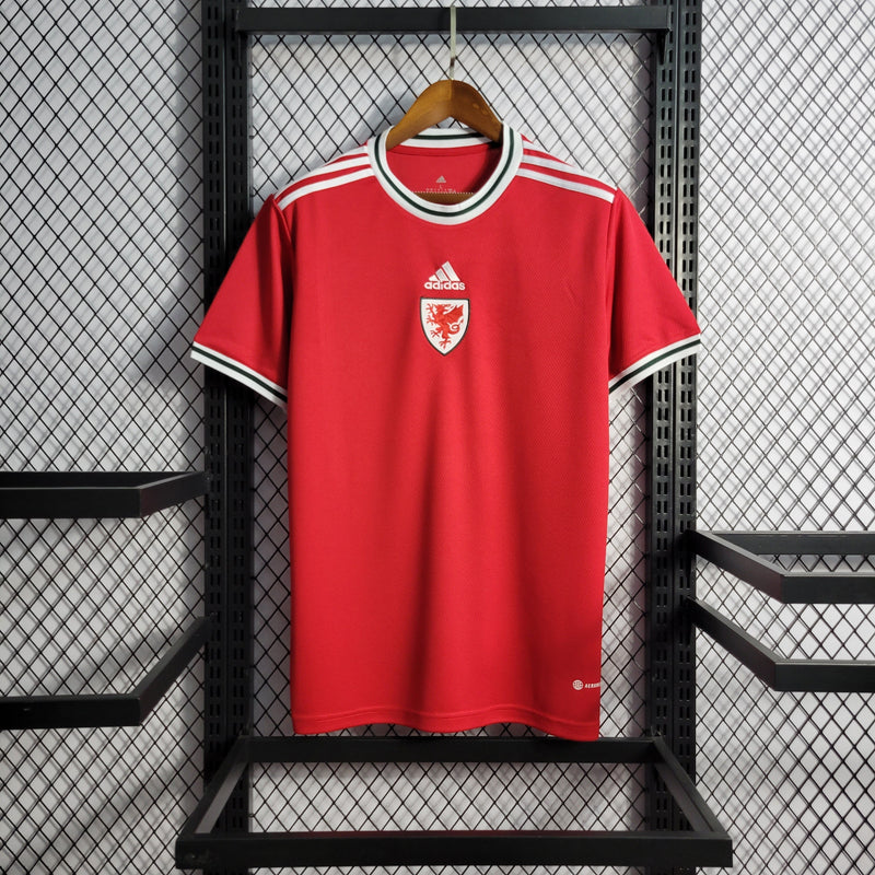 Camisa Seleção do Pais de Gales 2022/23 Vermelho - Torcedor