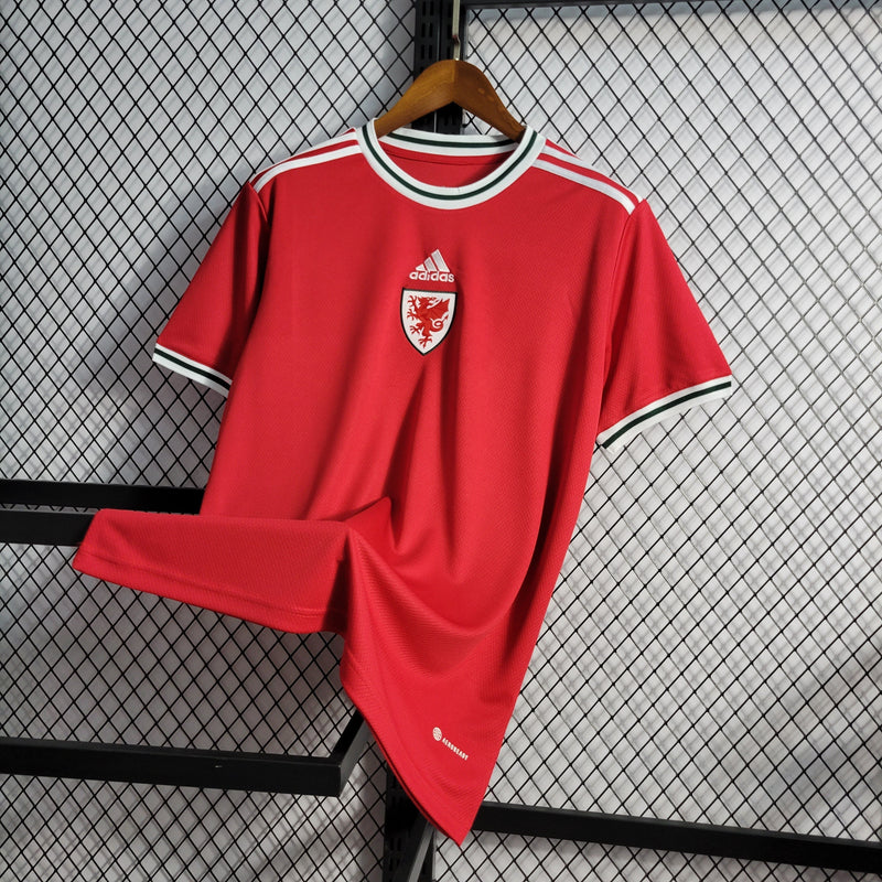 Camisa Seleção do Pais de Gales 2022/23 Vermelho - Torcedor